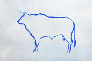 blauer Stier